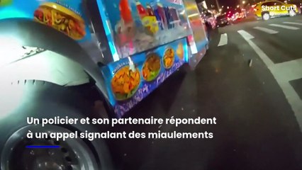 💖Un policier new-yorkais adopte un chaton après l'avoir sauvé💖💥ABONNES-TOI STP🙏💖 MERCI 🙏💖💥