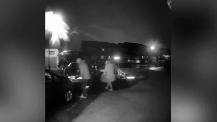 Watch as dog leaves owners in stitches after escaping from car boot