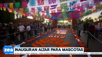 Inauguran altar para mascotas en Mexicali | Noticias con Francisco Zea