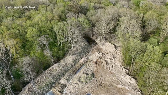 Hoads Woods identified in a House of Lords inquiry into flytipping across the country