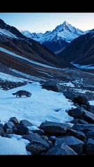 The Unexpected Warrior: Porcupine Defeats Snow Leopard in the Himalayas