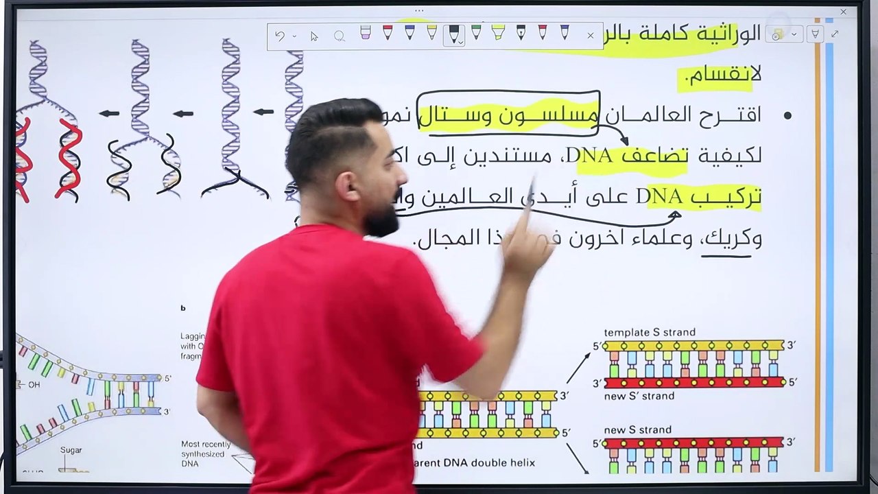 تضاعف ال DNA