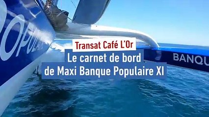 Armel Le Cléac'h : « On ne lâche rien » - Voile - Transat Café L'Or