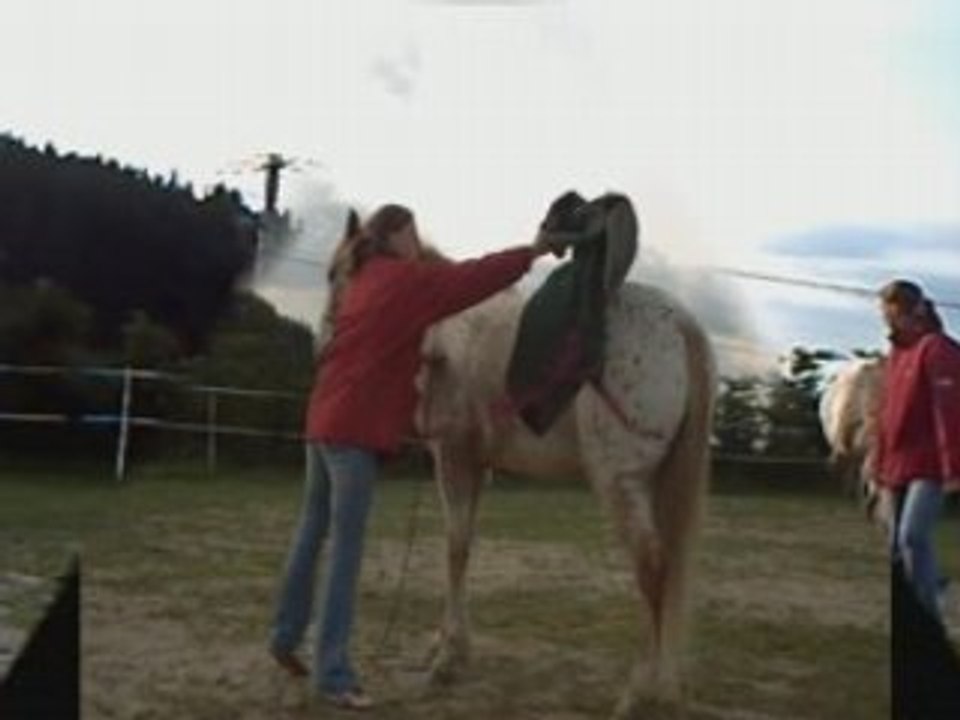 Travail a pied