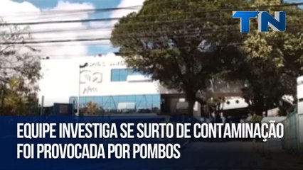 Equipe investiga se surto de contaminação foi provocada por pombos