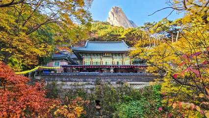 국립공원공단, 단풍철 앞두고 '걷기 좋은 국립공원길 7곳' 선정 / YTN
