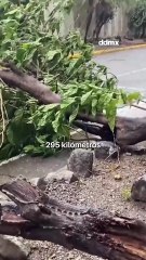 Huracán Melissa de Categoría 5 impacta Jamaica 🌪️