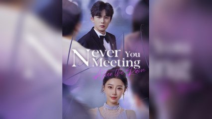 Never Meeting You After The Rain