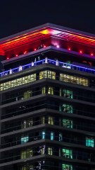 Full Series💕From Protector to Lover： A Mafia Boss’s Claim