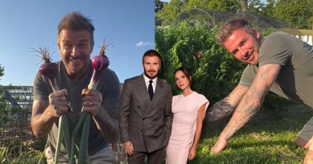 David Beckham Pesara Bahagia Tenang Berkebun