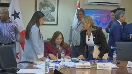 Reglamento Interno de la Asamblea Nacional: Arranca el primer debate