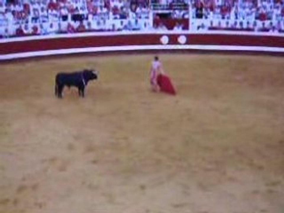 Corrida à Dax