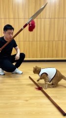 #funny video #shortvideo #viralvideo #funnyadda#