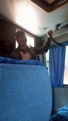 Com bom humor, bombeiro acalma passageiros após acidente com ônibus em Altônia