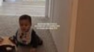 Dog Bursts With Excitement at Sight of His Baby Brother Crawling