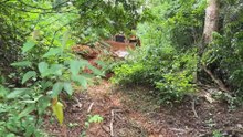 Plantation Road Repair with D6R XL Bulldozer Precision in the Plantation