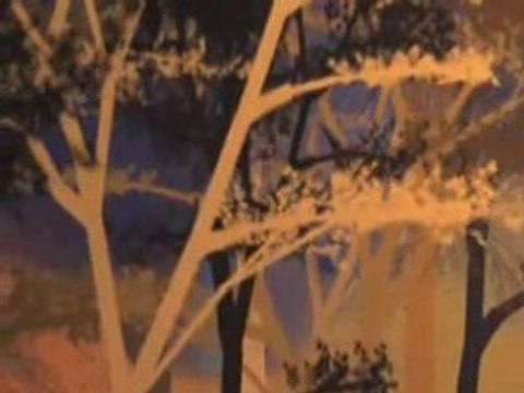 Course bois zoom-H.264 300 Kbps diffusion en continu