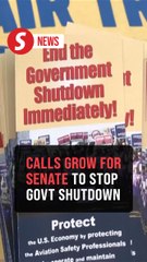 Open the government now, US air traffic controllers tell Senate