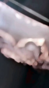 %F0%9F%92%96%F0%9D%9F%8F%F0%9D%9F%8E%F0%9D%9F%8E%F0%9D%90%8A+%F0%9D%90%8E+%21+%F0%9D%9F%8F%F0%9D%9F%8E%F0%9D%90%8A+%E2%80%A2+%F0%9D%9F%91%F0%9D%9F%8E%F0%9D%90%8A+%E2%86%92%F0%9D%9F%93%F0%9D%9F%8E%F0%9D%90%8A%E2%9C%85.....+.+.+.+.+