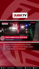 Hujan dan Angin Kencang, Pohon Mangga Tumbang Tutup Akses Jalan di Jampangkulon Sukabumi