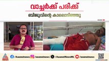 കാട്ടാനയെ തുരത്താൻ ശ്രമിക്കുന്നതിനിടെ വനം വകുപ്പ് വാച്ചർക്ക് പരിക്ക്