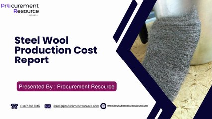Steel Wool Production Cost  Report
