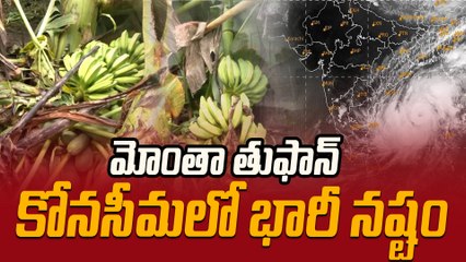 Montha Cyclone Effect in Konaseema : కోనసీమలో భారీ ఆస్తి నష్టం | Oneindia Telugu
