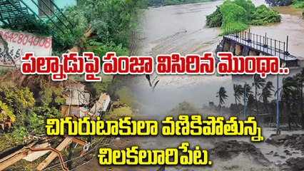 Cyclone Montha :  పల్నాడులో పరిస్థితి దారుణం, దశాబ్దంలోనే  భారీ తుపాను | Oneindia Telugu