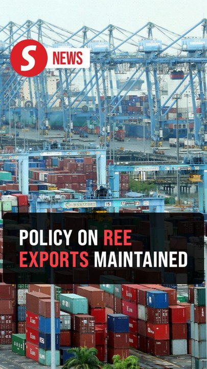 Ban on raw rare earth exports to be maintained, says Zafrul