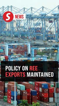 Ban on raw rare earth exports to be maintained, says Zafrul