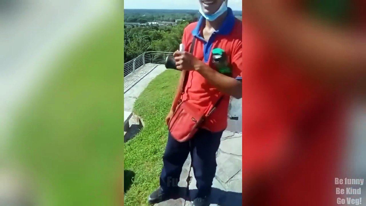 TRY NOT TO LAUGH 😆 Best Funny Videos 😂 Funniest Memes Compilation PART 254