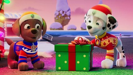 PAW PATROL PAW PATROL RUBBLES WEIHNACHTSWUNSCH Film