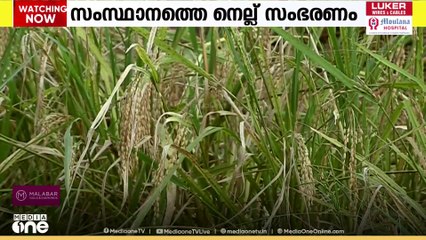 സംസ്ഥാനത്തെ നെല്ല് സംഭരണവുമായി ബന്ധപ്പെട്ട പ്രതിസന്ധി നീങ്ങുന്നു