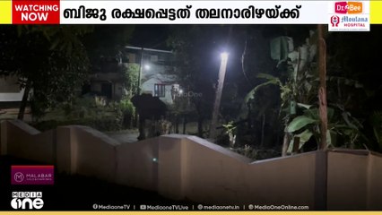 തൃശൂർ കുതിരാനിൽ കാട്ടാന ആക്രമണം; ഇരുമ്പു പാലത്തിന് സമീപം ഫോറസ്റ്റ് വാച്ചർക്ക് പരിക്ക്