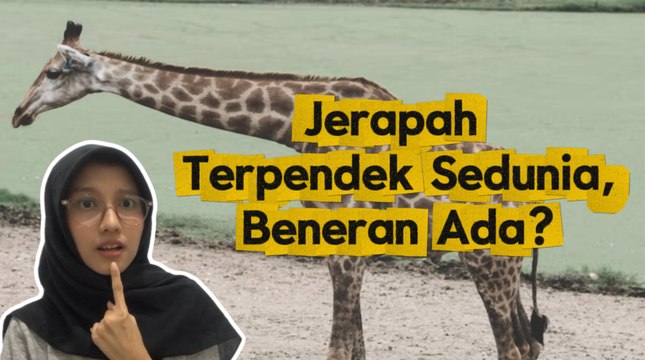 Fenomena Langka: Jerapah Terpendek di Dunia, Unik Banget!-Serius Ini Hewan?