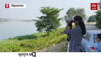 आसन झील पहुंचने लगे विदेशी मेहमान, पक्षी प्रेमियों का लगा तांता, वन विभाग ने बढ़ाई गश्त