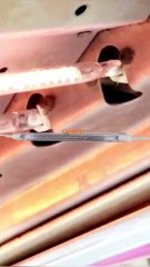 2000w High Quality Heating Lamps for Blowing Machine 1000w high temperature tube