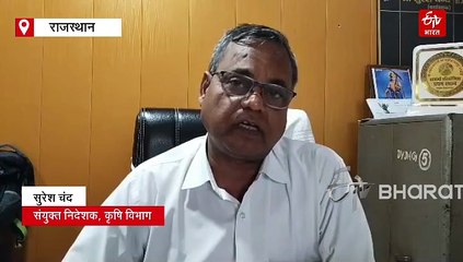 गड़बड़झाला : झालावाड़ में खाद-बीज की दो फर्मों के लाइसेंस निरस्त, भरतपुर में पकड़े गए सरसों के नकली बीज