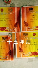 [SUBTITLE] Ying'er, today is your birthday, and I have a gift for you... "The Fifteen Years He Deliberately Buried" #dramachina - Big Short Drama Society (480p, h264, youtube)