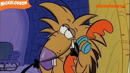 Les Castors Allumés - Les blagues au téléphone