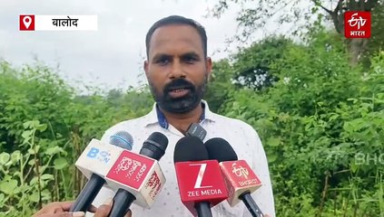 बालोद में बारिश और फसलों में लगी बीमारी का कहर, 500 एकड़ में लगी धान की फसल खराब, मुआवजे की मांग