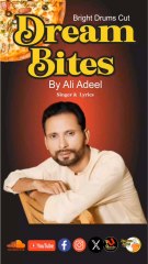 dream bites remix lyrics to Ali Adeel Singer 🔥🇵🇰