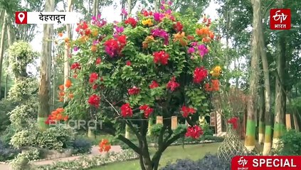 खास होगा राष्ट्रपति द्रौपदी मुर्मू का उत्तराखंड दौरा, तीन दिन में देंगी कई सौगातें, देखें तैयारियों की ग्राउंड रिपोर्ट