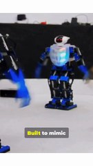 1x neo humanoid robot