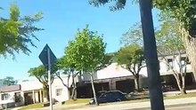 Misterios en mi barrio - ¡Un gato volador y una serpiente mutante!