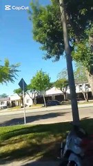 Misterios en mi barrio - ¡Un gato volador y una serpiente mutante!