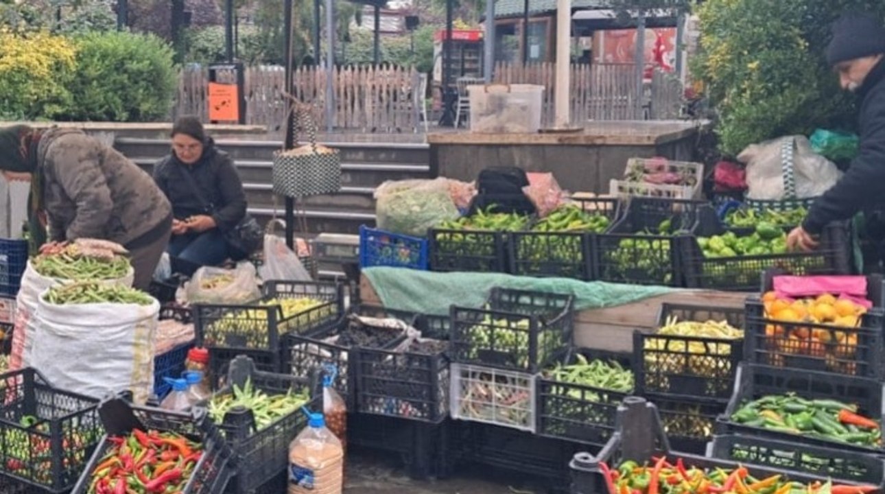 Kışlık sebzeler tezgahta, vatandaş yoklukta