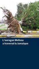 L'ouragan Melissa a frappé la Jamaïque avec des vents à 300 km/h