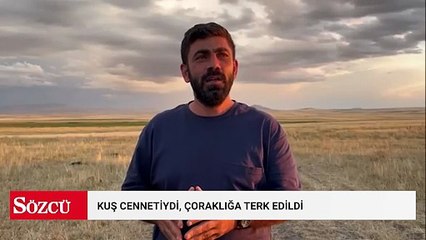 Kuş cennetiydi, çoraklığa terk edildi