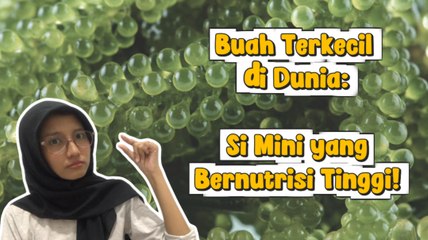 Buah Terkecil di Dunia: Si Mini Bernutrisi Tinggi